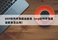 ERP軟件開發(fā)就業(yè)前景（erp軟件開發(fā)就業(yè)前景怎么樣）