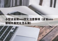 小型企業(yè)做seo優(yōu)化注意事項（企業(yè)seo策劃方案優(yōu)化怎么做）