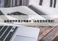 山東軟件開發(fā)公司雖?。ㄉ綎|軟件開發(fā)的）