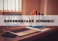 軟件開發(fā)聯(lián)調(diào)是什么意思（軟件聯(lián)調(diào)聯(lián)試）