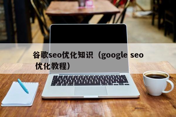 谷歌seo優(yōu)化知識(google seo 優(yōu)化教程)