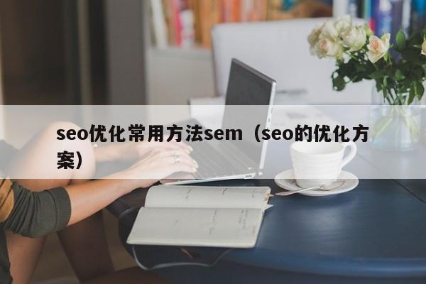 seo優(yōu)化常用方法sem(seo的優(yōu)化方案)