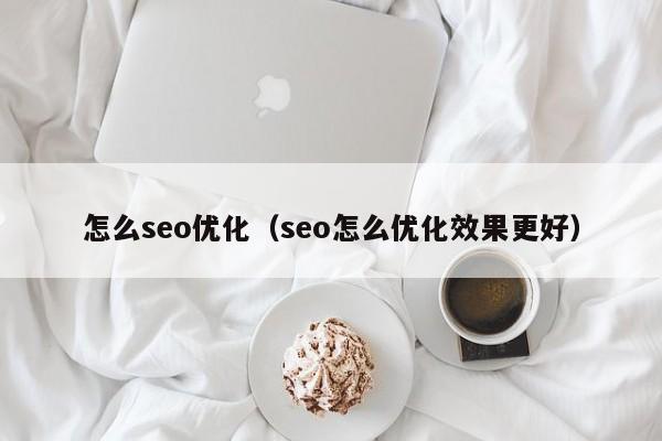 怎么seo優(yōu)化(seo怎么優(yōu)化效果更好)
