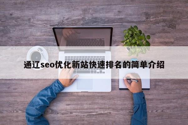 通遼seo優(yōu)化新站快速排名的簡(jiǎn)單介紹
