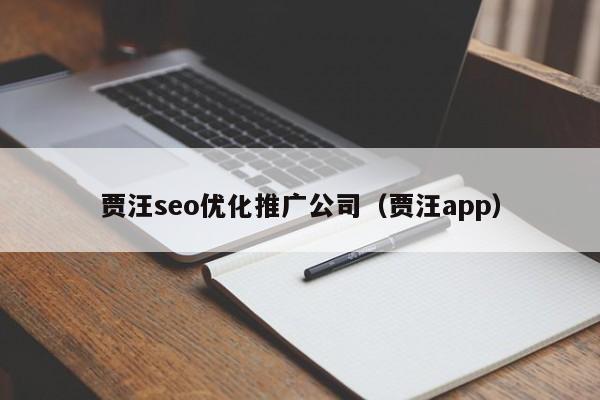 賈汪seo優(yōu)化推廣公司(賈汪app)