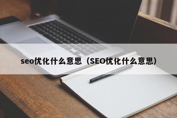 seo優(yōu)化什么意思(SEO優(yōu)化什么意思)