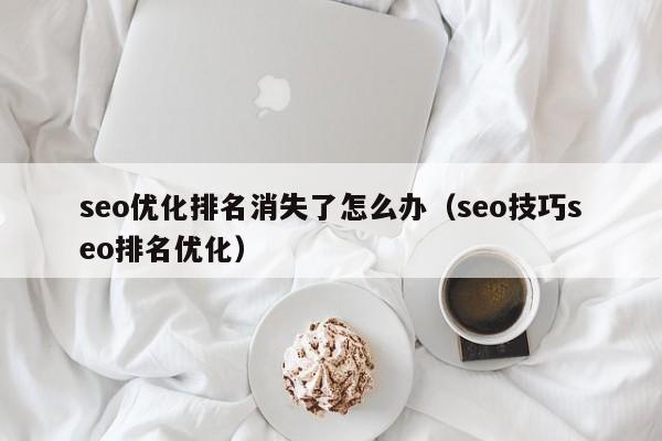 seo優(yōu)化排名消失了怎么辦(seo技巧seo排名優(yōu)化)