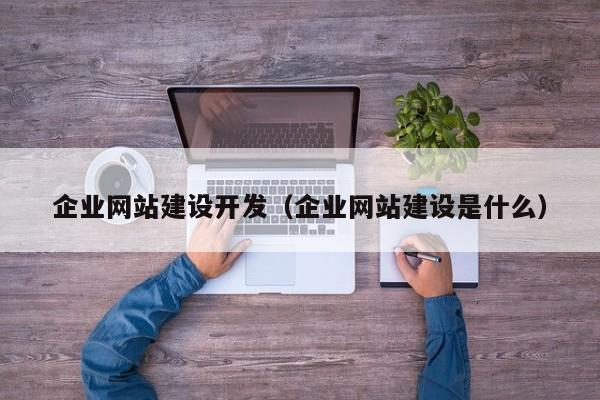 企業(yè)網(wǎng)站建設開(kāi)發(fā)(企業(yè)網(wǎng)站建設是什么)