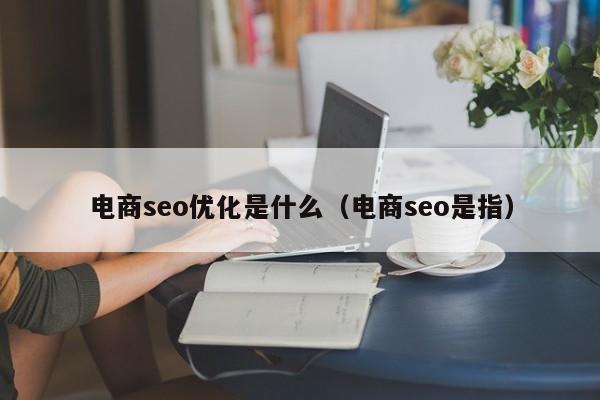 電商seo優(yōu)化是什么(電商seo是指)