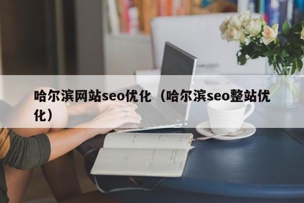 哈爾濱網(wǎng)站seo優(yōu)化(哈爾濱seo整站優(yōu)化)