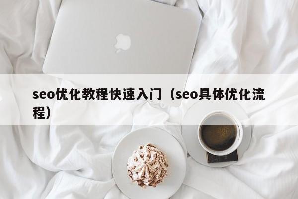 seo優(yōu)化教程快速入門(mén)(seo具體優(yōu)化流程)