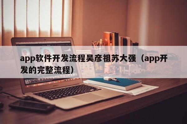app軟件開(kāi)發(fā)流程吳彥祖蘇大強(app開(kāi)發(fā)的完整流程)