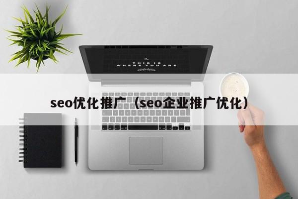 seo優(yōu)化推廣(seo企業(yè)推廣優(yōu)化)
