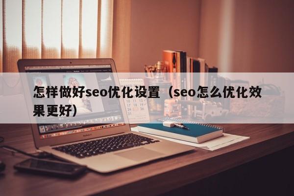 怎樣做好seo優(yōu)化設置(seo怎么優(yōu)化效果更好)