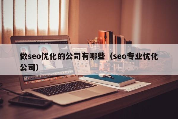 做seo優(yōu)化的公司有哪些(seo專(zhuān)業(yè)優(yōu)化公司)