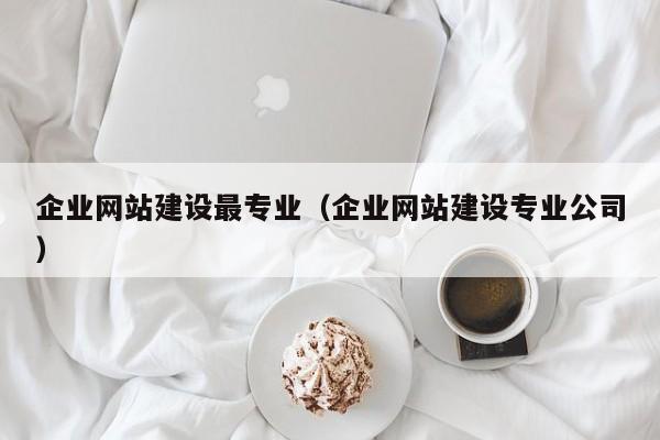 企業(yè)網(wǎng)站建設(shè)最專業(yè)(企業(yè)網(wǎng)站建設(shè)專業(yè)公司)