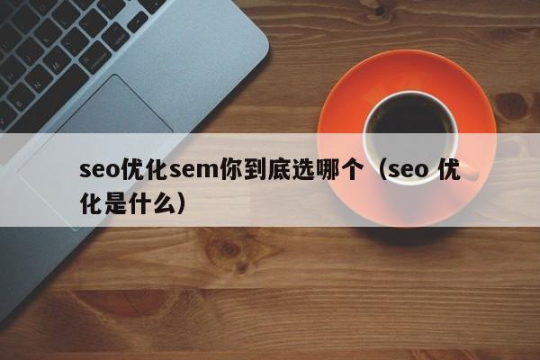 seo優(yōu)化sem你到底選哪個(gè)(seo 優(yōu)化是什么)