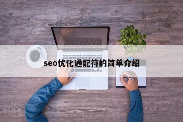 seo優(yōu)化通配符的簡(jiǎn)單介紹