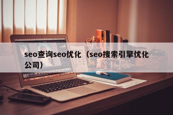 seo查詢(xún)seo優(yōu)化(seo搜索引擎優(yōu)化公司)