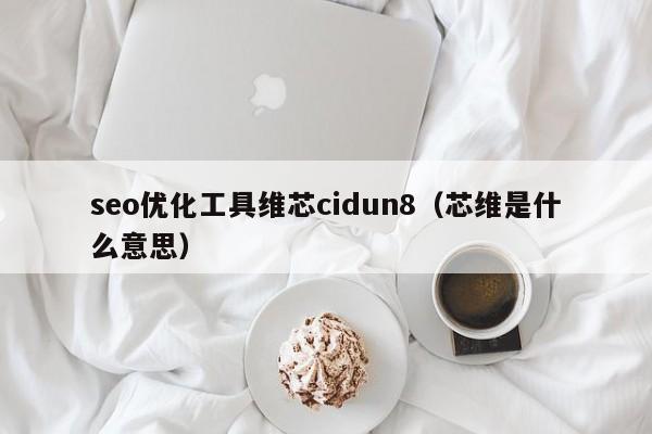 seo優(yōu)化工具維芯cidun8(芯維是什么意思)