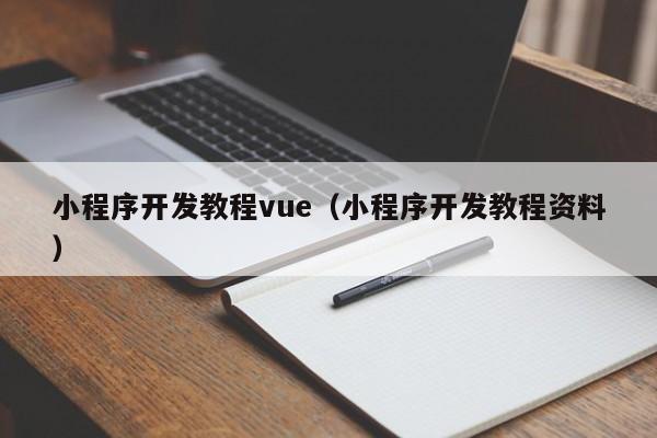 小程序開發(fā)教程vue(小程序開發(fā)教程資料)