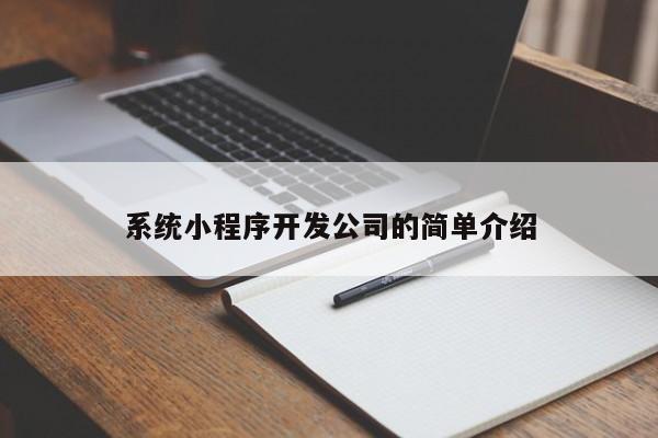 系統小程序開(kāi)發(fā)公司的簡(jiǎn)單介紹