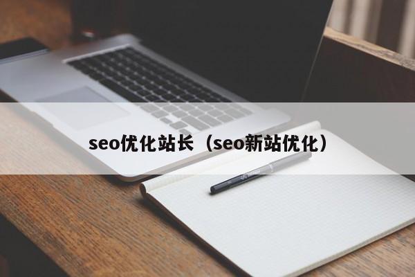 seo優(yōu)化站長(cháng)(seo新站優(yōu)化)