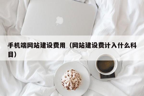 手機端網(wǎng)站建設費用(網(wǎng)站建設費計入什么科目)