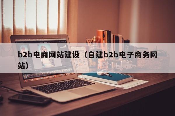 b2b電商網(wǎng)站建設(自建b2b電子商務(wù)網(wǎng)站)