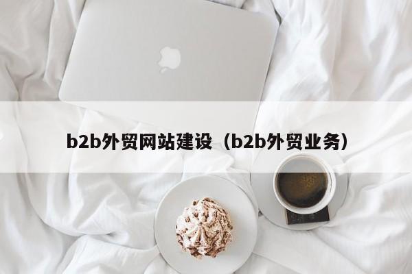 b2b外貿網(wǎng)站建設(b2b外貿業(yè)務(wù))